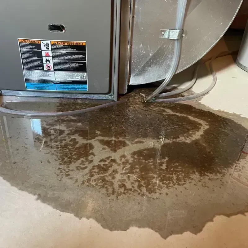 Appliance Leak Cleanup in Fairmont, IL